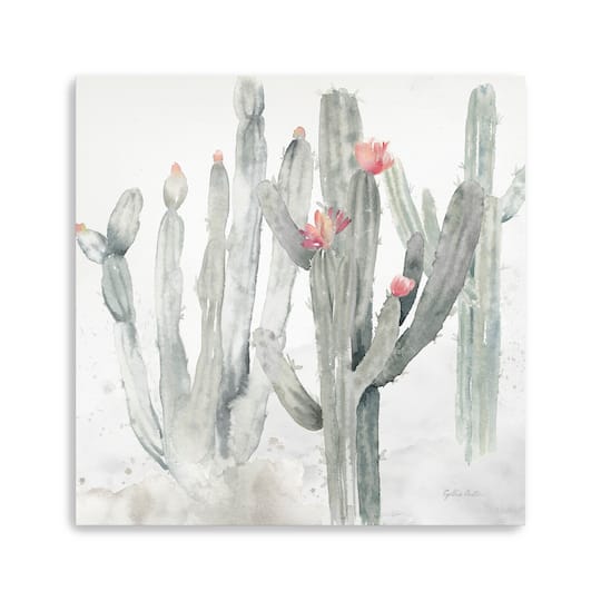 Cactus Garden Gray Blush II Canvas Giclee